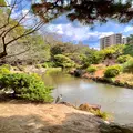 栗林公園の写真_484971