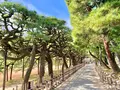 栗林公園の写真_484972