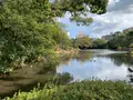栗林公園の写真_484973