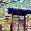 栗林公園の写真_484980