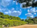 栗林公園の写真_484982