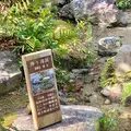 栗林公園の写真_484987