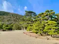 栗林公園の写真_484989
