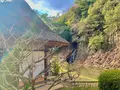 栗林公園の写真_484991