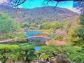 栗林公園の写真_484992