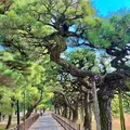 栗林公園の写真_484994