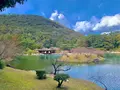 栗林公園の写真_484995