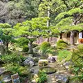 栗林公園の写真_484997