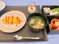 花樹海の写真_485027