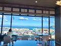 花樹海の写真_485028