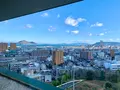 花樹海の写真_485031