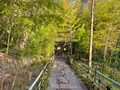 四国村の写真_485063