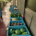 から風呂の写真_485072