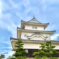 丸亀城の写真_485081