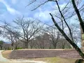 丸亀城の写真_485087