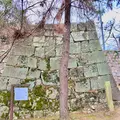 丸亀城の写真_485089