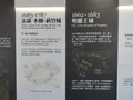 見城館の写真_485404
