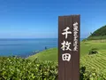 白米千枚田の写真_485556