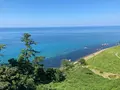 白米千枚田の写真_485557
