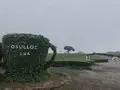 o’sulloc tea museum/オソルロッ ティミュジオム/오설록 티뮤지엄の写真_486467