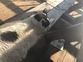 金寧迷路公園/キムニョンミロコンウォン/김녕미로공원の写真_486484