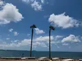 涯月(エウォル)ハンダム海岸道路/애월한담해안산책로の写真_486491