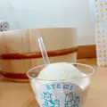 熱海プリンの写真_486706