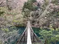 夢の吊橋の写真_486781