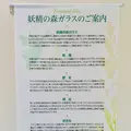 妖精の森ガラス美術館の写真_486896