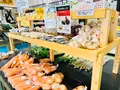 道の駅 奥津温泉の写真_486925