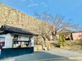 津山城跡の写真_486933