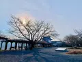 津山城跡の写真_486934