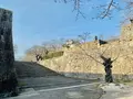 津山城跡の写真_486938