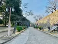 津山城跡の写真_486939