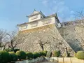 津山城跡の写真_486951
