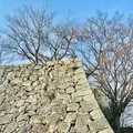 津山城跡の写真_486955