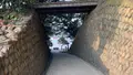 御膳山展望台の写真_487503