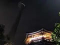 釜山タワー/Busan Tower/부산타워の写真_487609