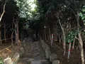 冬栢島(冬栢公園)/トンベッソム(トンベッコンウォン)/동백섬(동백공원)の写真_487634
