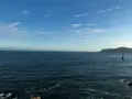 冬栢島(冬栢公園)/トンベッソム(トンベッコンウォン)/동백섬(동백공원)の写真_487636
