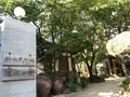 伝統茶院/チョントンタウォン/전통다원の写真_487724