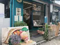 ベルベル/vert vert/베르베르の写真_487749