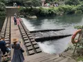 天帝淵瀑布/チョンジェヨンポッポ/천제연폭포の写真_487883