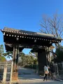 京都御苑の写真_487944