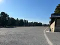 京都御苑の写真_487950