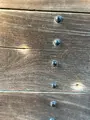 京都御苑の写真_487952