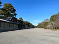 京都御苑の写真_487956