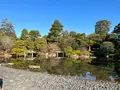 京都御所の写真_487964