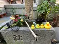 元祇園 梛神社の写真_488358