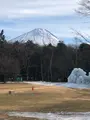 西湖 野鳥の森公園の写真_488776